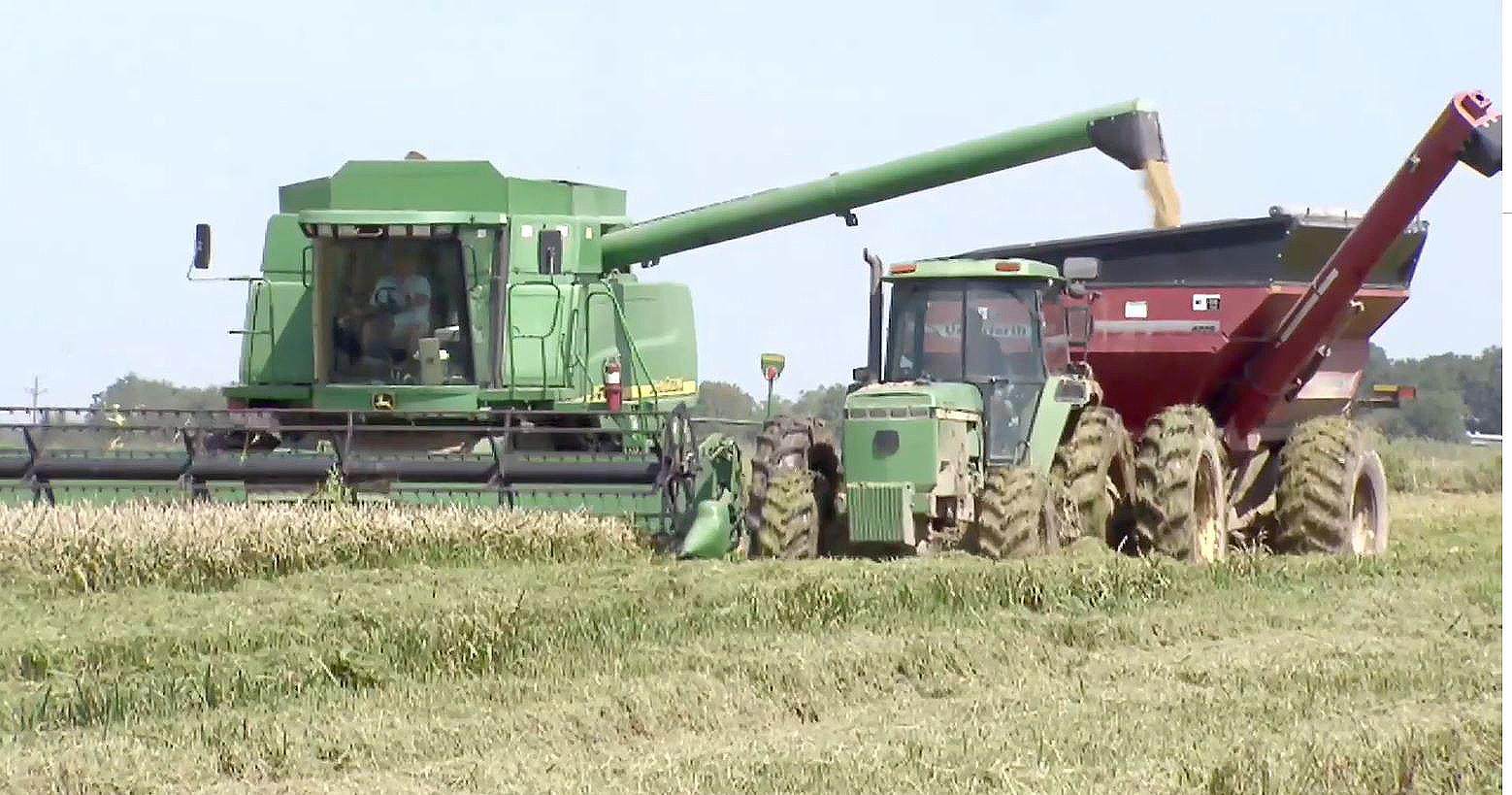  Late summer rains dampen 2022 rice harvest